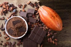 Cabosses Poudre et Tablettes de Chocolat
