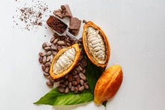 Super Cabosses de Cacao et Poudre de cacao