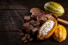 Cocoa with chocolate pieces and chocolate powder on the table.